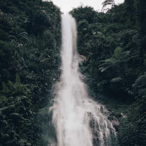 Photo #6873130