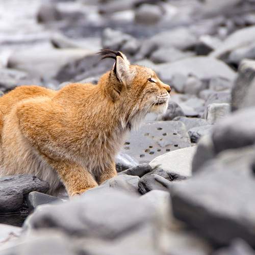 Photo #6873457