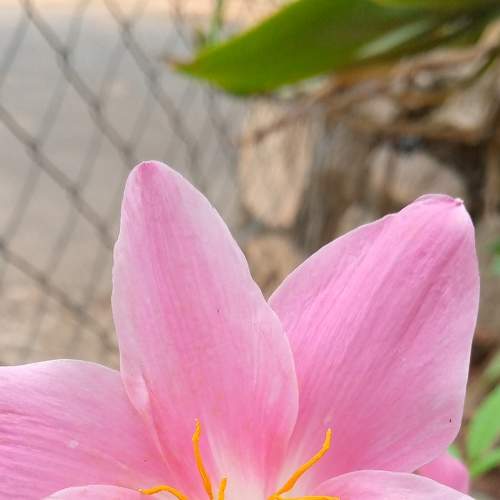 Photo #6873613