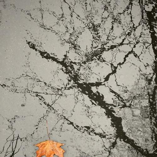 Photo #6873700