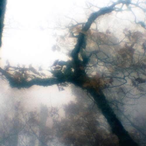 Photo #6873855