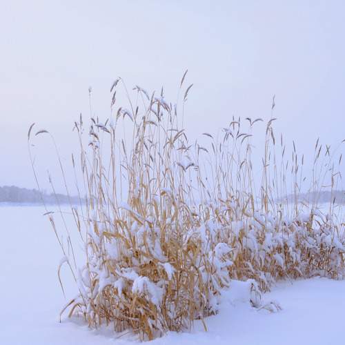 Photo #6873891