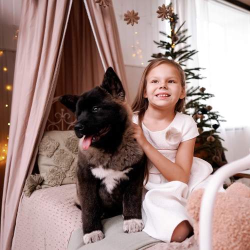Photo #6873943