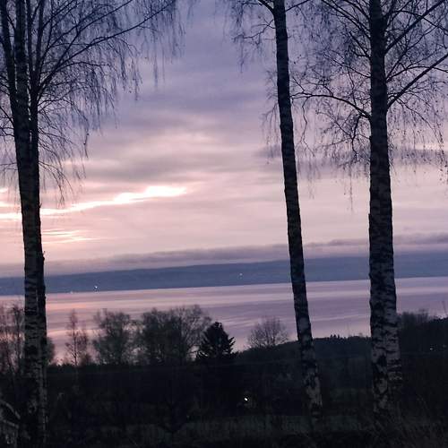 Photo #6873957