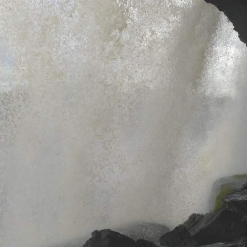 Photo #6874561