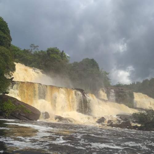 Photo #6874573