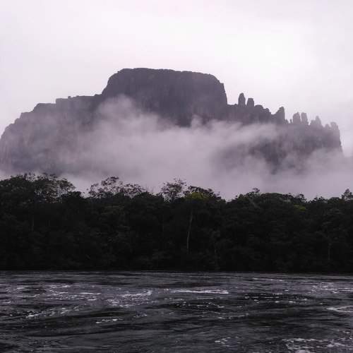 Photo #6874580