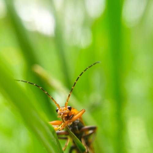 Photo #6874682