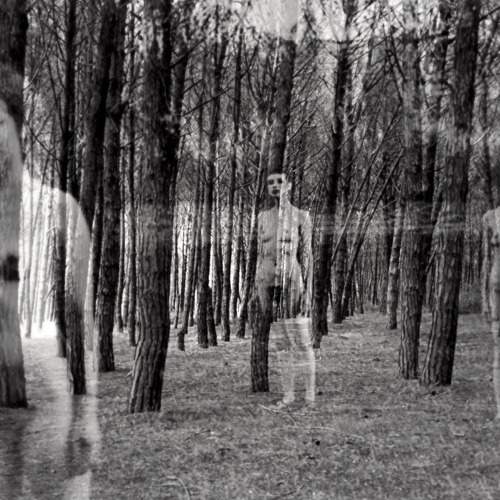 Photo #6874814