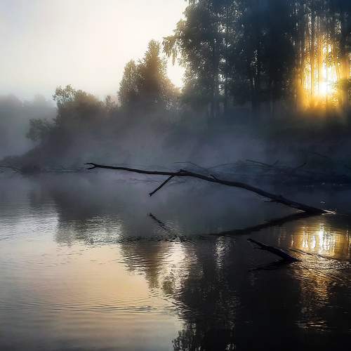 Photo #6874833