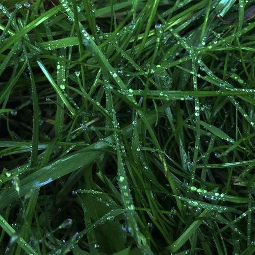 Photo #6874904
