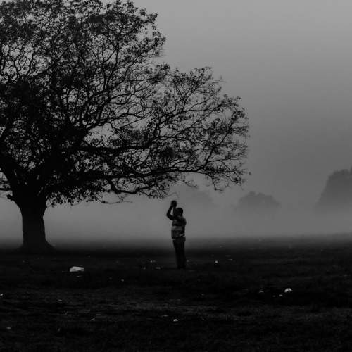 Blissful foggy morning