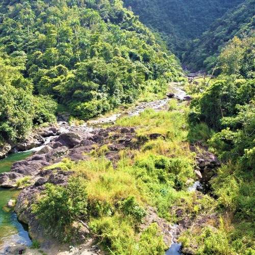Photo #6874972