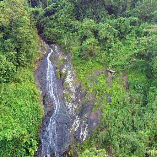 Photo #6874976