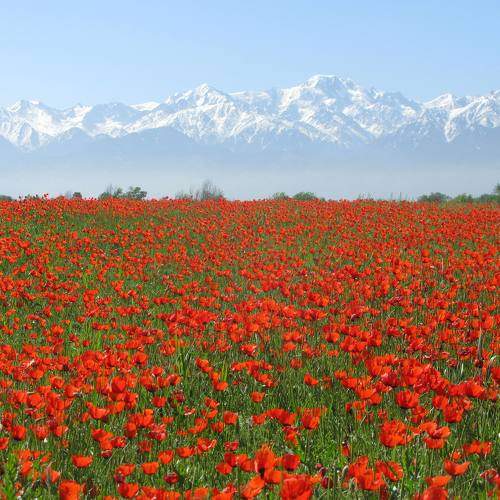 Photo #6874982