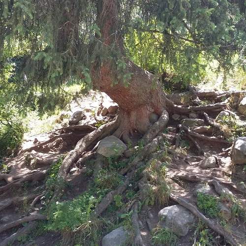 Photo #6875102
