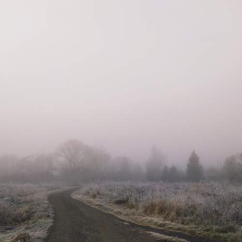 Photo #6875154