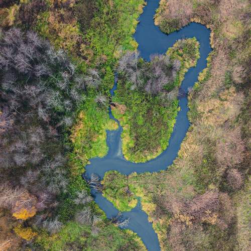 Photo #6875172