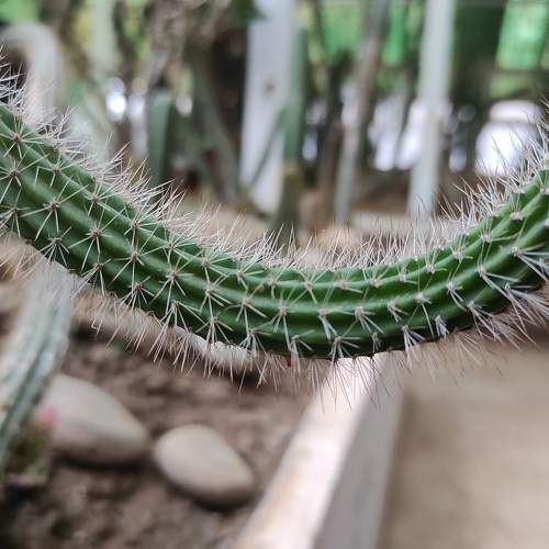 Photo #6875183