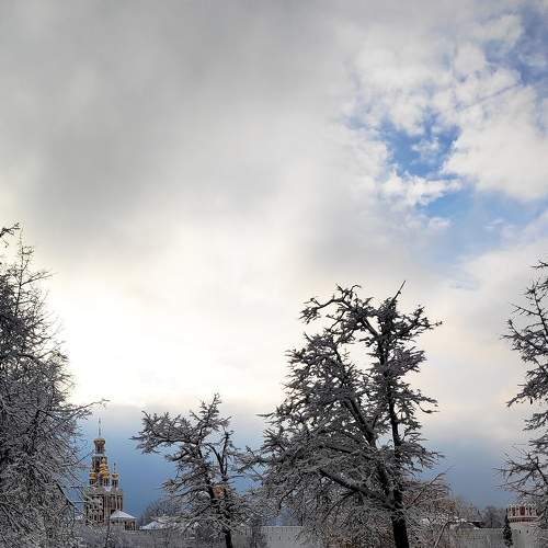 Photo #6875307