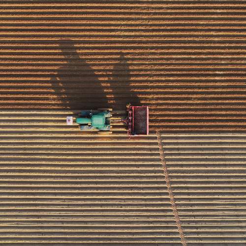 Photo #6875349