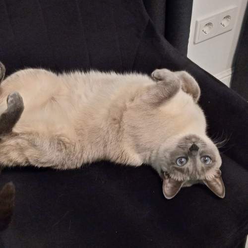 Photo #6875475