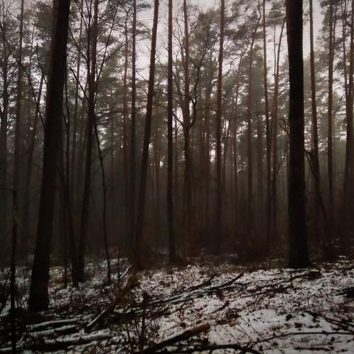 Photo #6875509