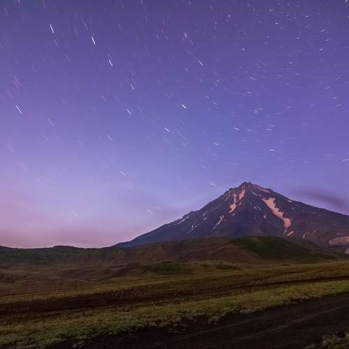 Photo #6875584