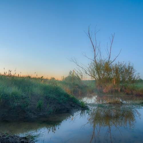 Photo #6875603