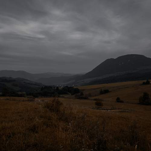 Photo #6875618
