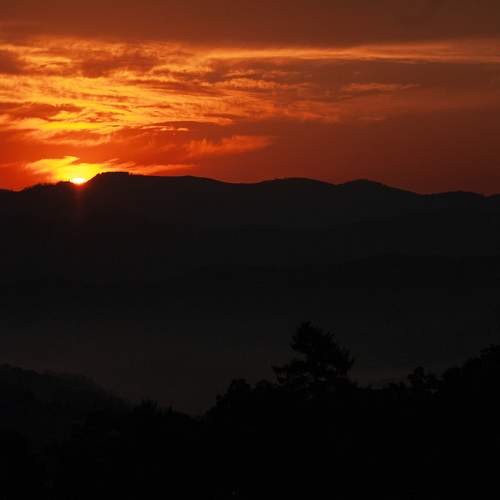 Photo #6875619
