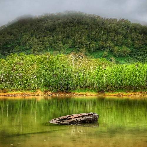 Photo #6875745