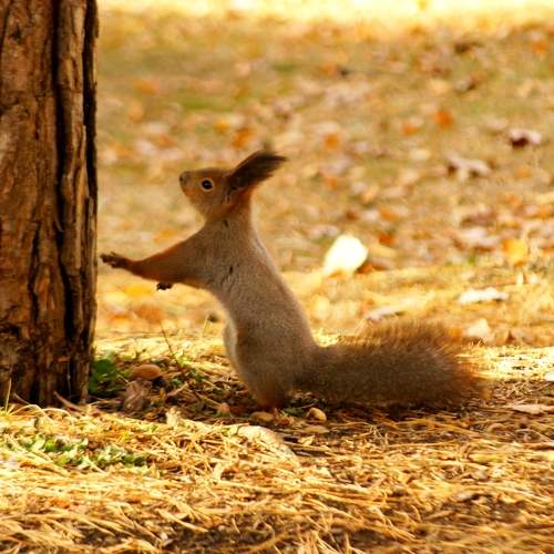 Photo #6875884