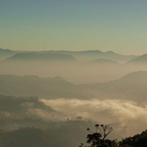 Photo #6875980