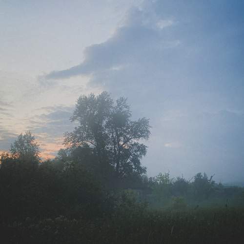 Photo #6876093