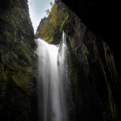 Photo #6876302