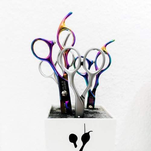The colourful scissors