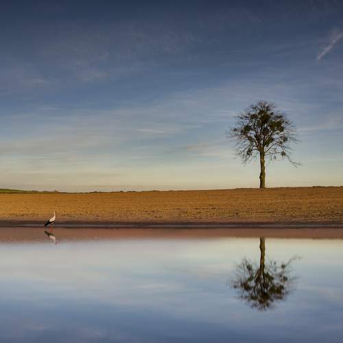 Фотография #6876533