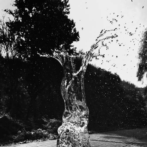 Photo #6876968