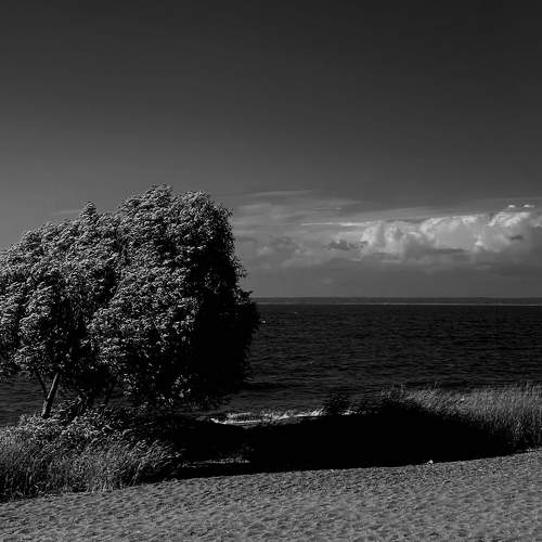 Baltic Winds