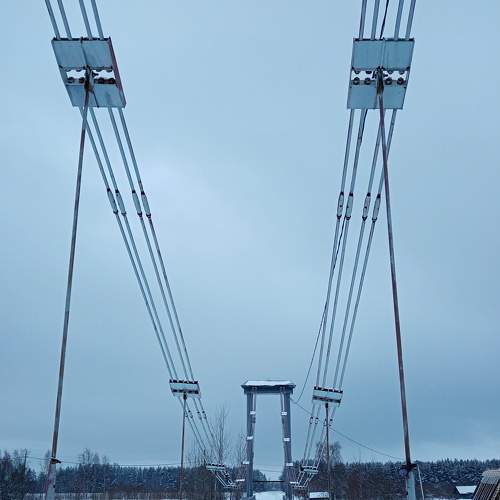 Photo #6877041