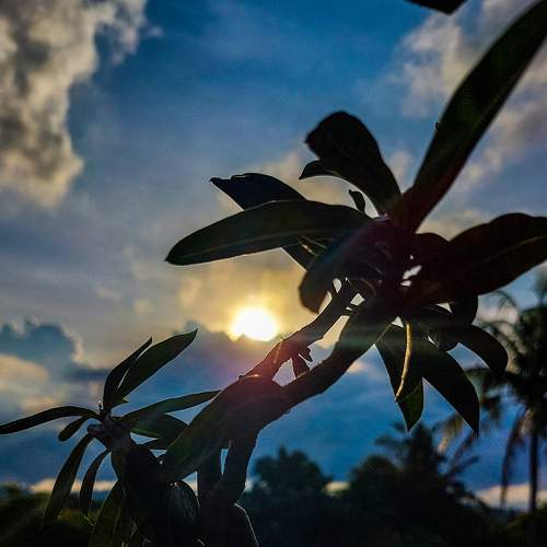 Photo #6877157