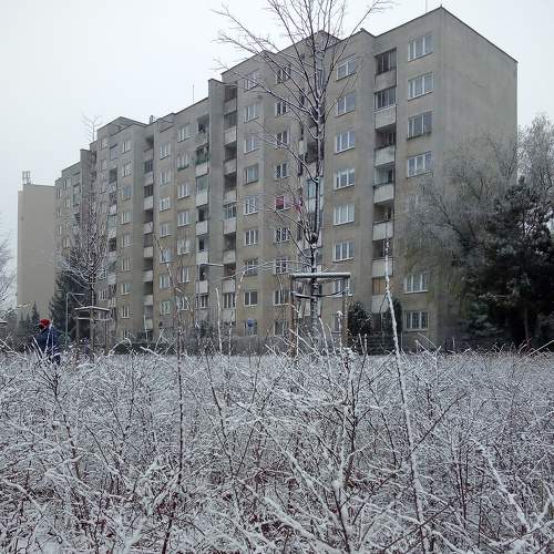 Photo #6877220