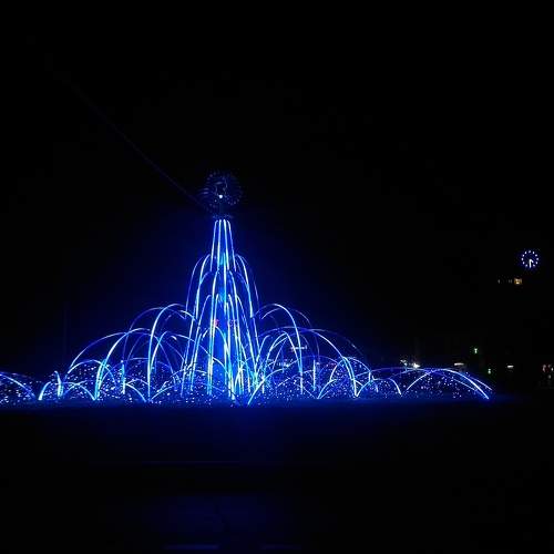 Photo #6877255