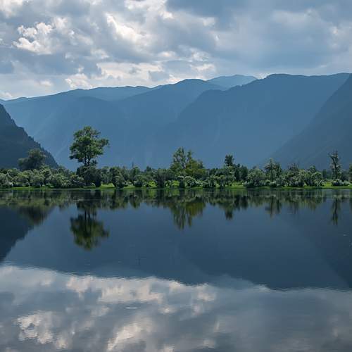 Фотография #6877276