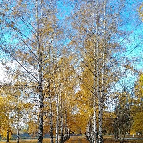 Photo #6877313