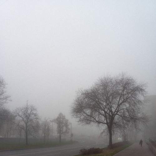 Photo #6877415