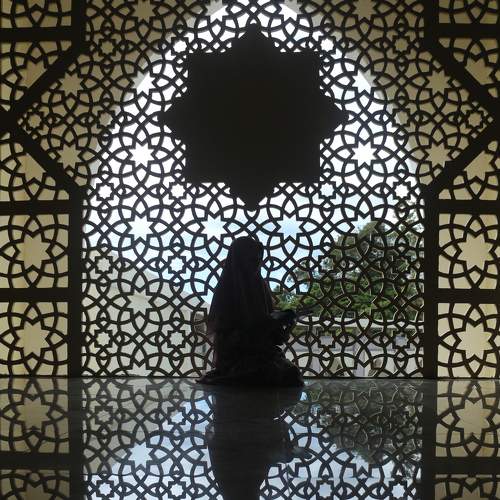 Photo #6877453