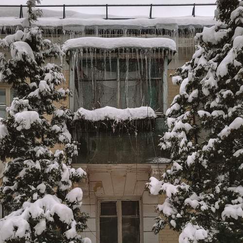 Photo #6877454