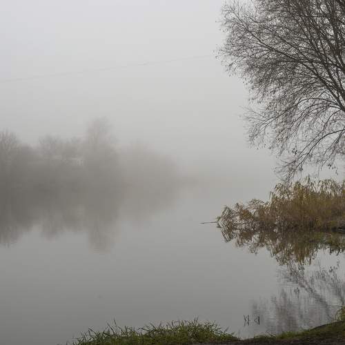 Photo #6877463
